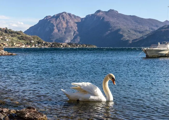 Apartment -appartamento Il Molo- A Due Passi Del