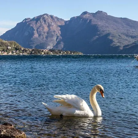 公寓 -appartamento Il Molo- A Due Passi Del